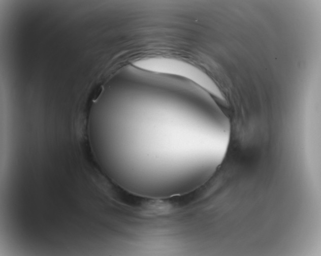 X0000089710421200707051705