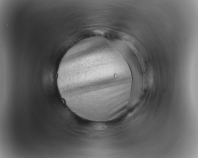 X0000089710424200707051705