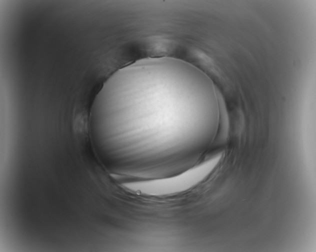 X0000089710425200707051705