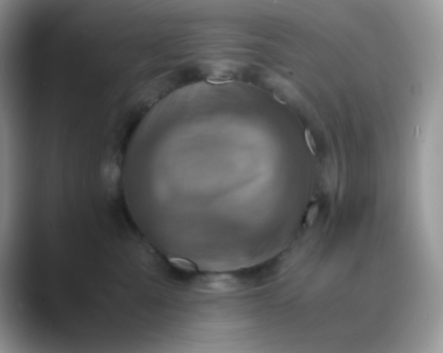 X0000089710427200707051705