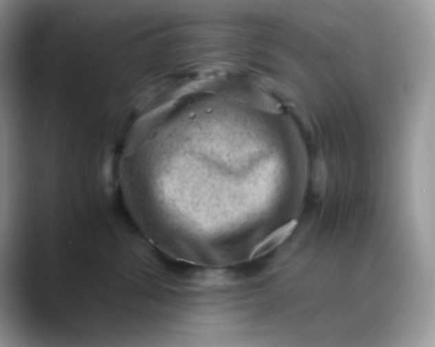 X0000089710428200707051705