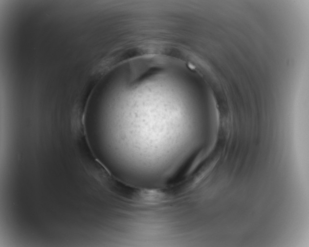 X0000089710429200707051705