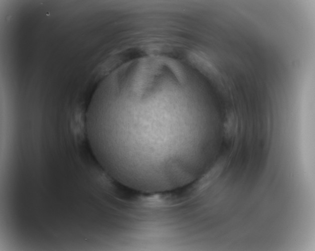 X0000089710430200707051705