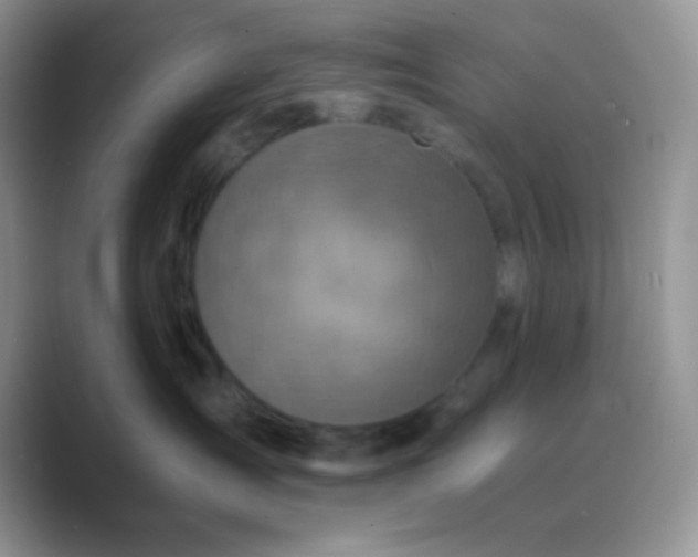 X0000089710431200707051705