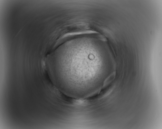 X0000089710432200707051705