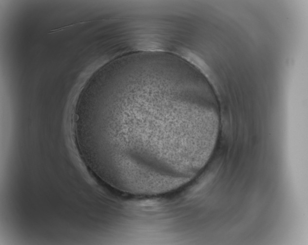 X0000089710433200707051704