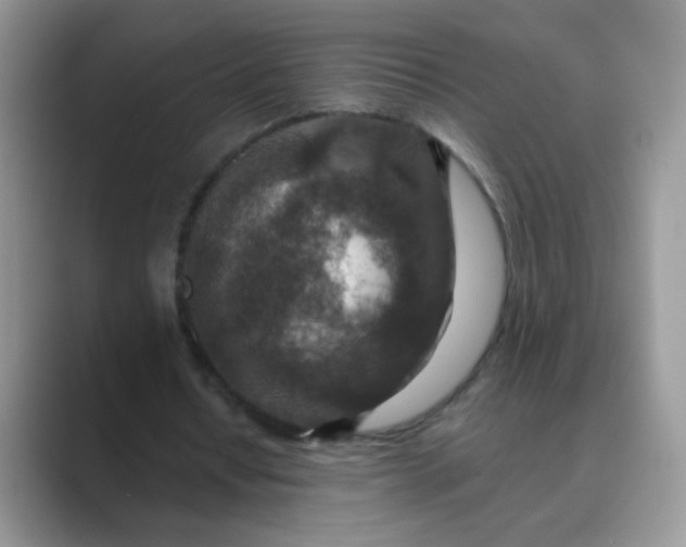 X0000089710434200707051704