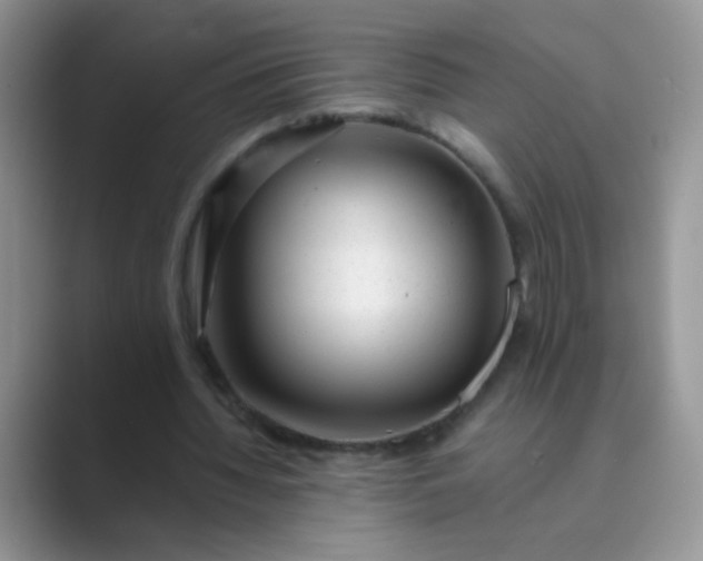 X0000089710436200707051704