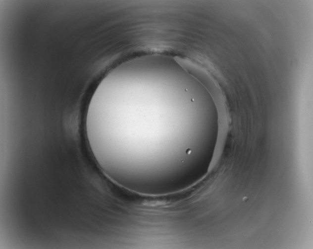 X0000089710440200707051704