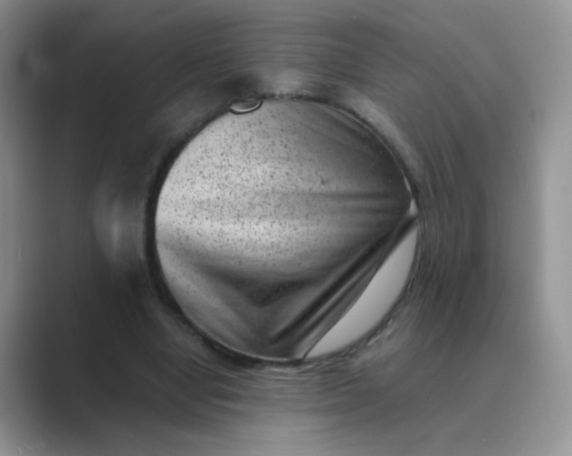 X0000089710442200707051704