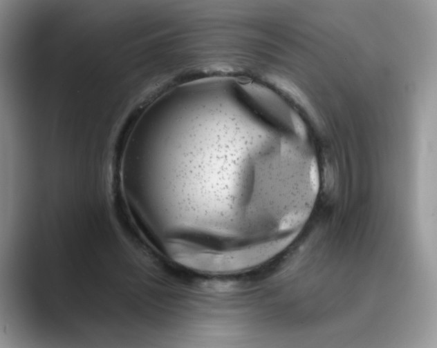 X0000089710444200707051704