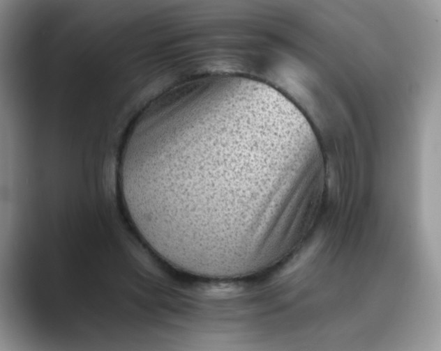 X0000089710445200707051704