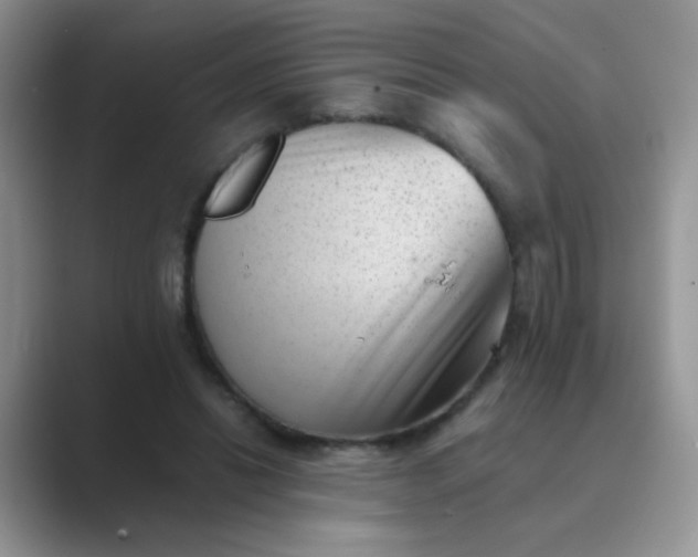 X0000089710446200707051704