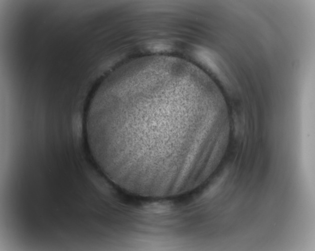 X0000089710447200707051704