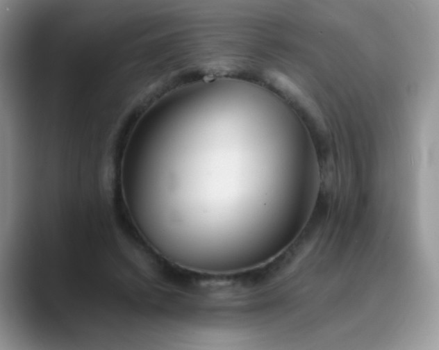 X0000089710448200707051704