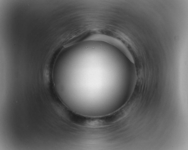 X0000089710452200707051704