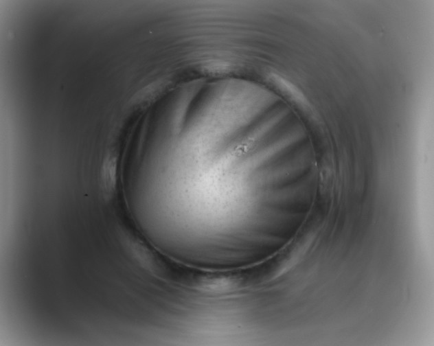 X0000089710454200707051704