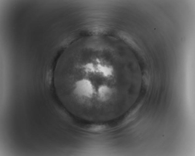 X0000089710458200707051705