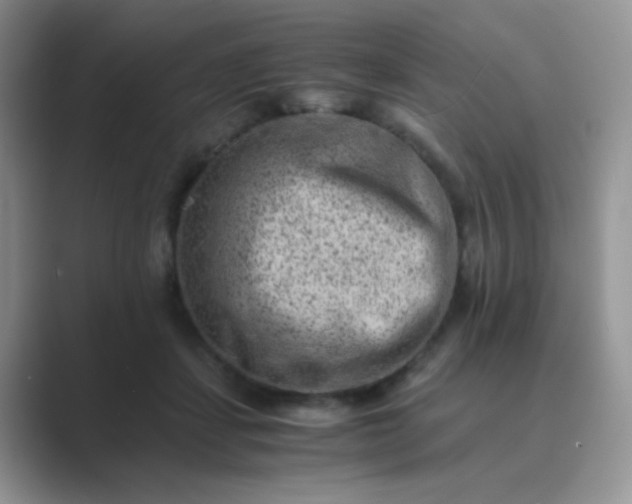 X0000089710459200707051705