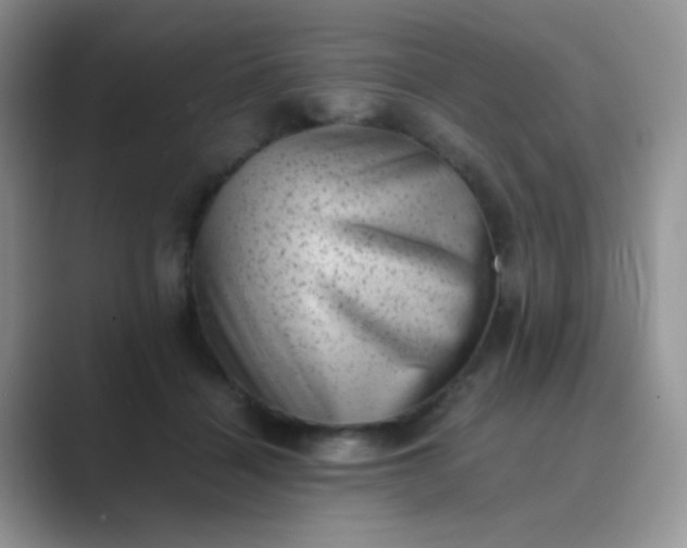 X0000089710460200707051705