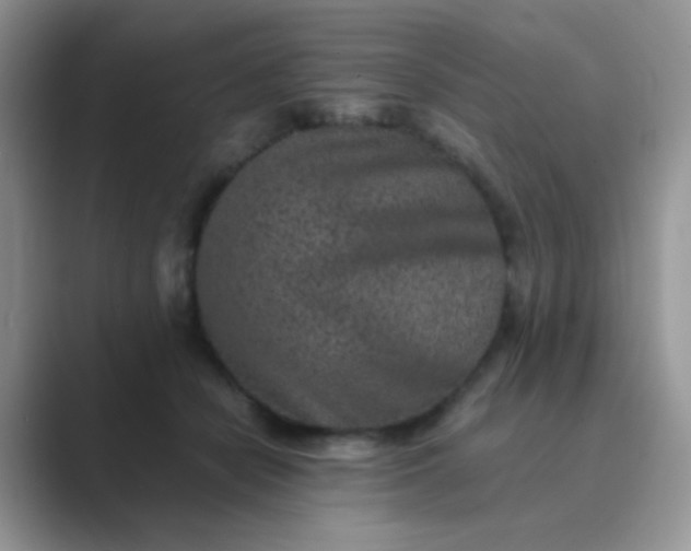 X0000089710462200707051705