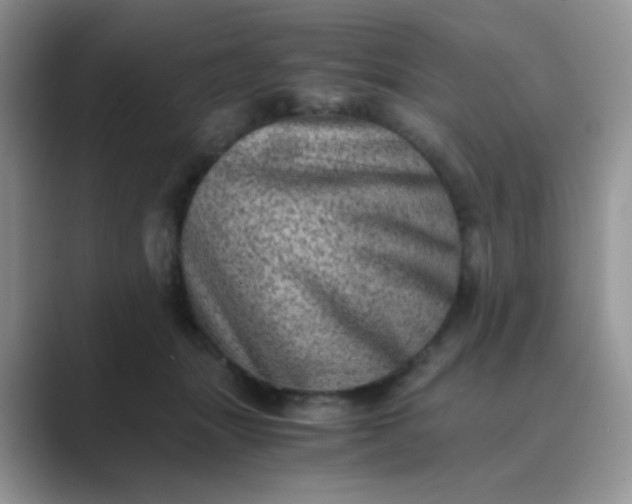 X0000089710463200707051705