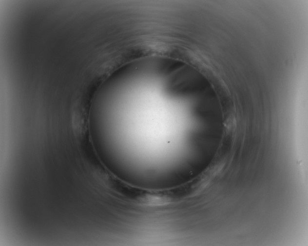 X0000089710464200707051705