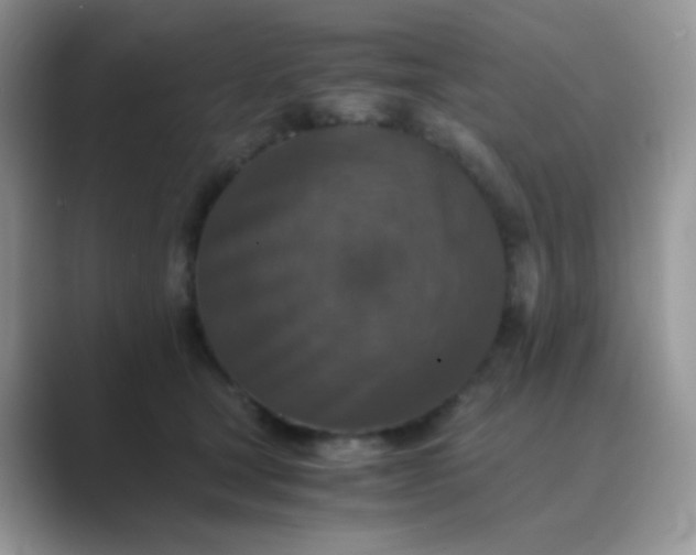 X0000089710465200707051705