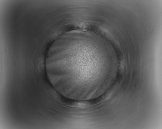 X0000089710466200707051705