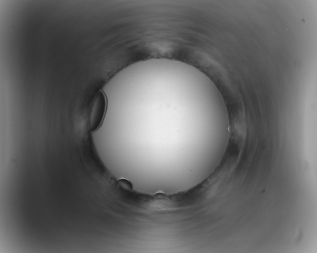 X0000089710468200707051705