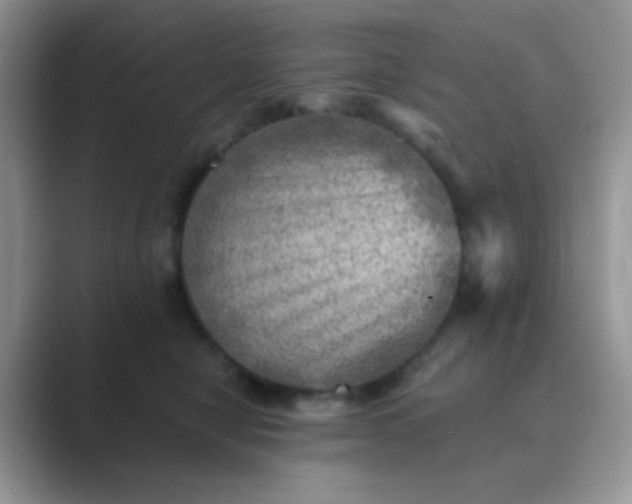 X0000089710470200707051705