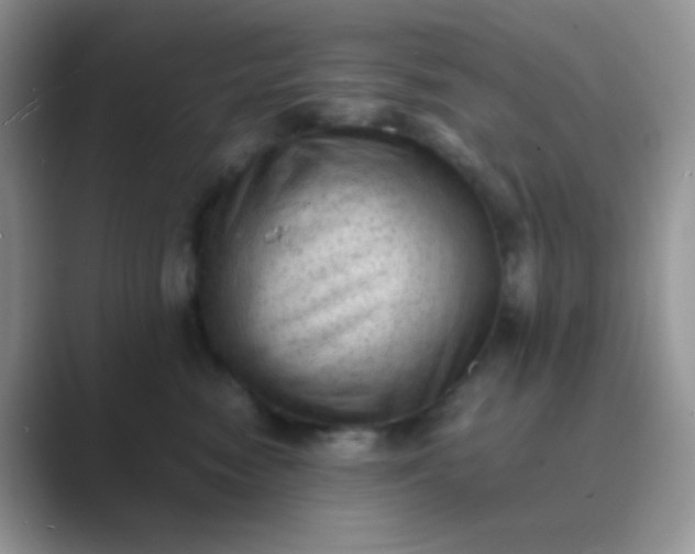 X0000089710474200707051705