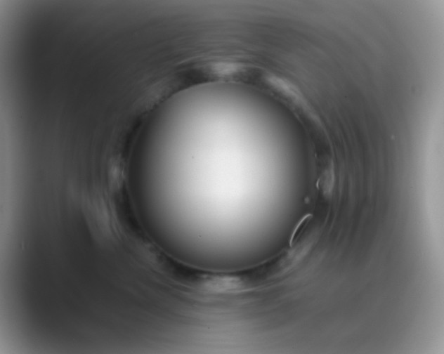 X0000089710476200707051705