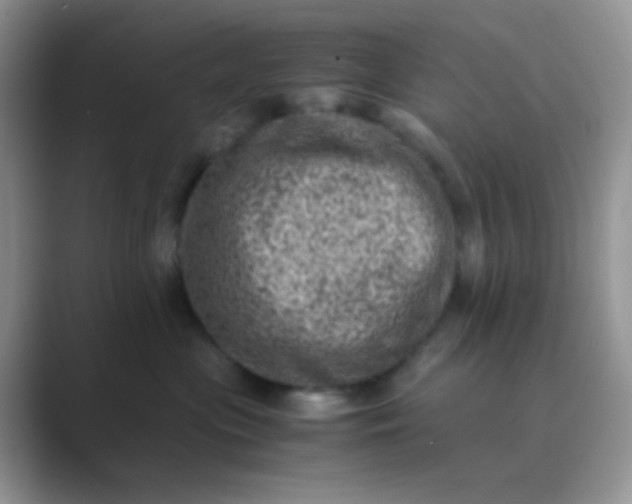 X0000089710477200707051705