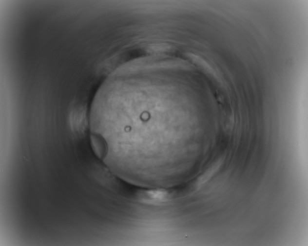 X0000089710478200707051705