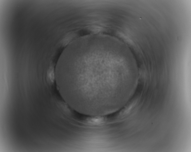 X0000089710479200707051705