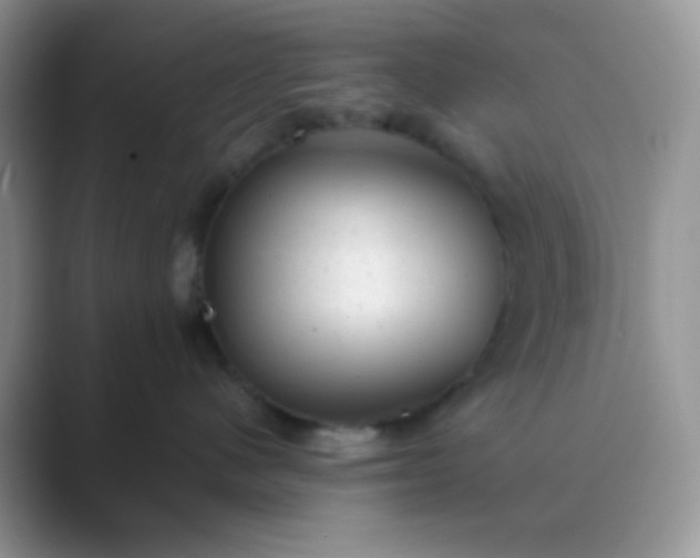 X0000089710480200707051705