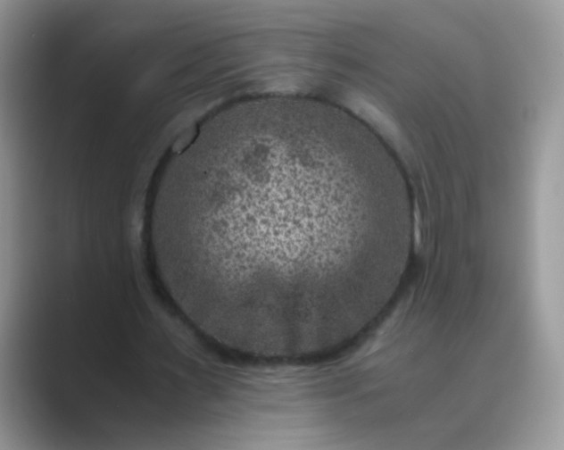 X0000089710483200707051704