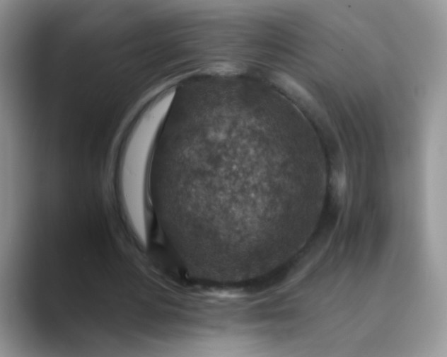 X0000089710484200707051704