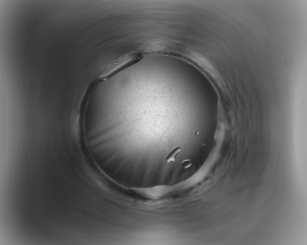 X0000089710485200707051704