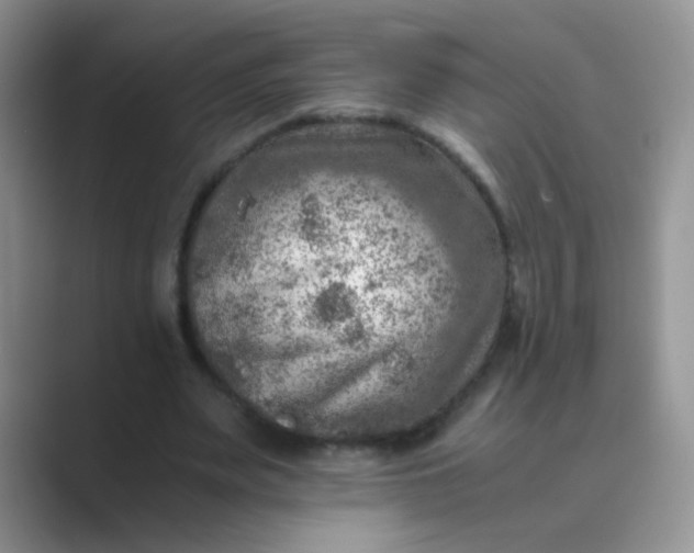 X0000089710487200707051704