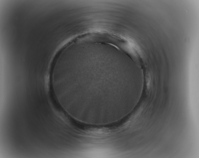 X0000089710488200707051704