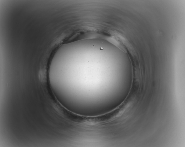 X0000089710489200707051704