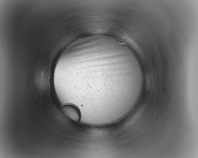 X0000089710490200707051704