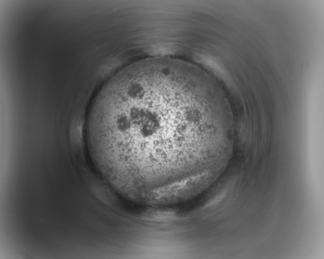 X0000089710491200707051704