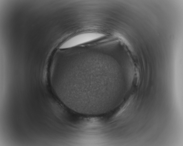 X0000089710492200707051704