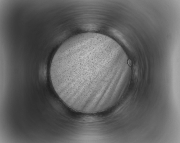 X0000089710494200707051704