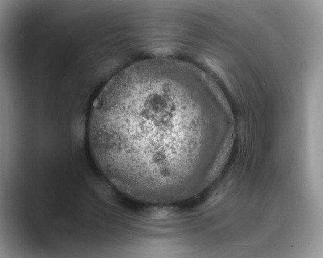 X0000089710495200707051704