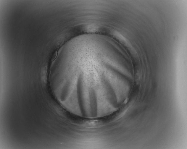 X0000089710497200707051704