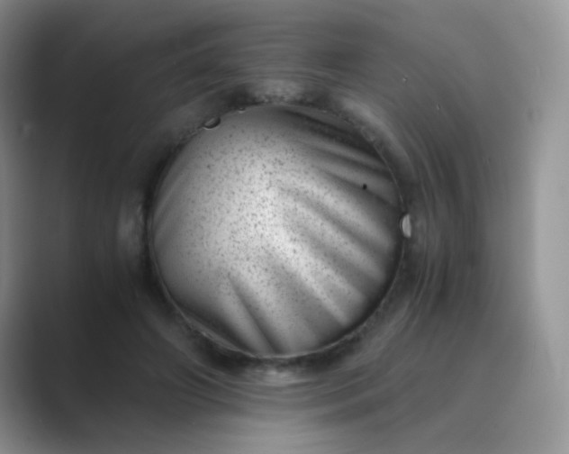 X0000089710498200707051704